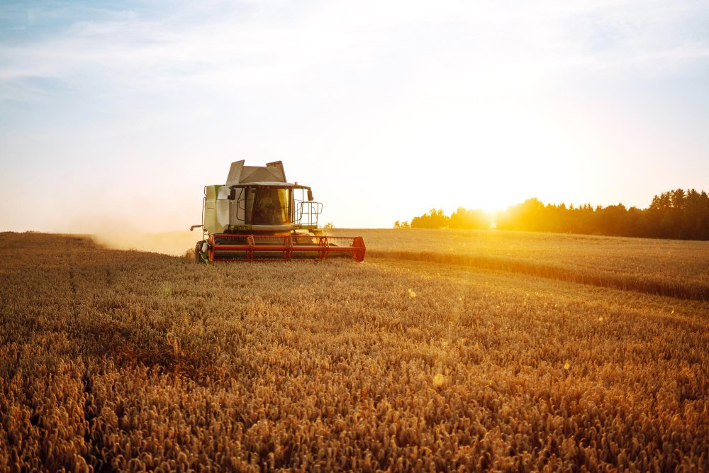 Melhore sua colheita com Otimização da Produção Agrícola